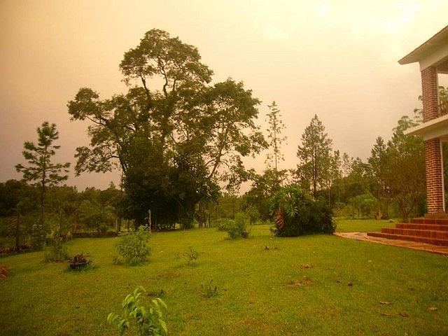 despues de la lluvia.jpg